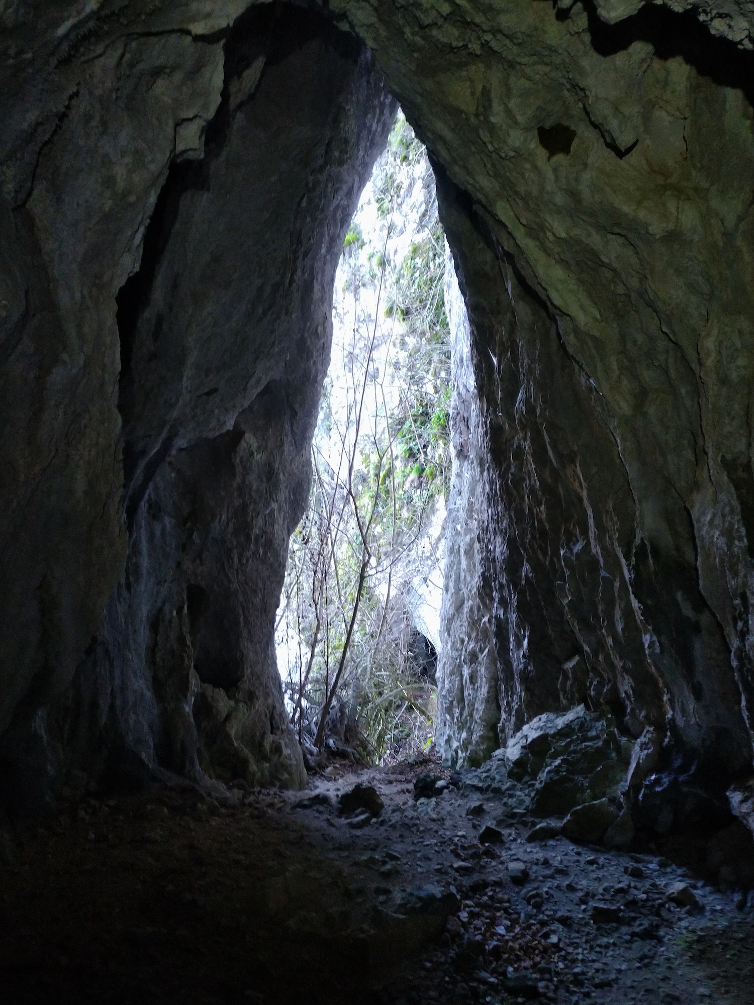 Peștera Surprizei - Image 3